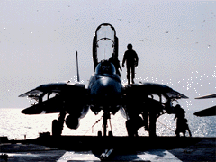 F14