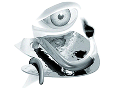 Eye