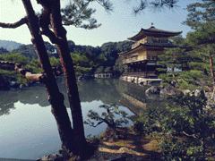 Temple