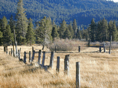 Valley